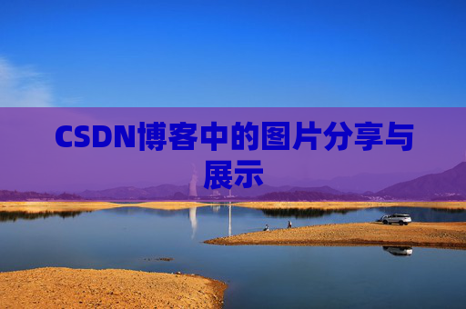 CSDN博客中的图片分享与展示